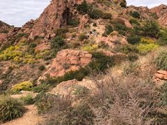 -红山国家森林公园