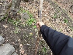 -吉林拉法山