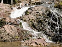 -九龙江国家森林公园