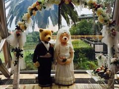 -济州岛泰迪熊博物馆