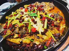 -老板恋上鱼(恒隆广场店)