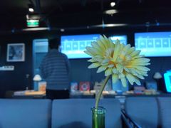 -CLUB心邸·掼蛋·麻将·扑克(日坛店)