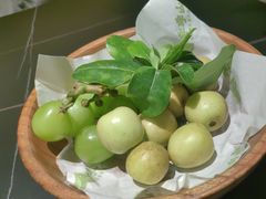 -季季山·云南野生菌火锅(上海首店)