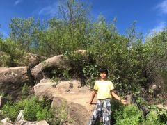 -白水寺森林公园