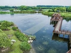 -荷塘月色湿地公园·向阳花洲