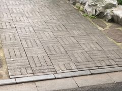 景点-鲁迅公园