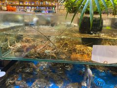 -亚马逊蒸汽活海鲜自助(LCM置汇旭辉广场店)