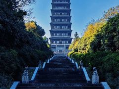 -宜兴龙背山森林公园