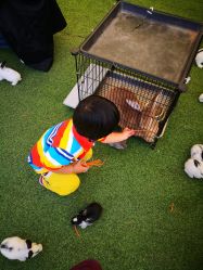 -萌宠亲子动物乐园(槐房万达店)