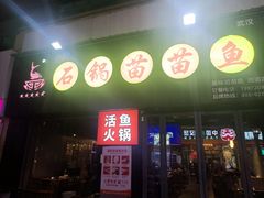 -石锅苗苗鱼(武汉首店)