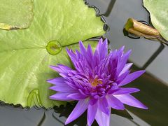 -国家植物园南园