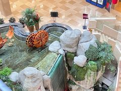 -聚春园自助餐厅(东街口店)