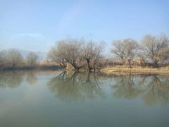 -长兴太湖图影湿地文化园