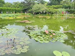 -国家植物园南园