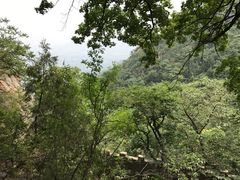 景点-北京鹫峰国家森林公园