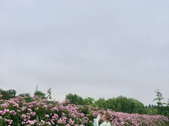 -尚贤河湿地