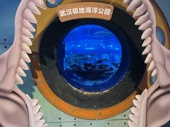 -海合安武汉极地海洋公园