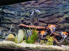 -上海海洋水族馆