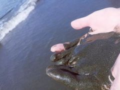 -台山黑沙湾海浴场