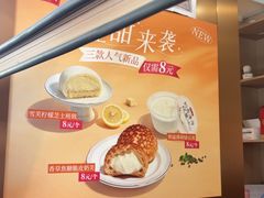 -沈大成(南京东路店)