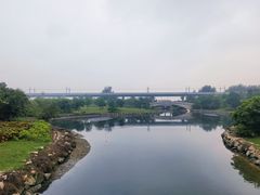 -宝安西湾红树林湿地公园