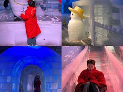 -顺德南宏海立方海洋公园