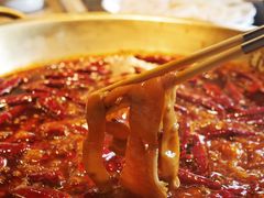 -小龙坎火锅(春熙太古里店)