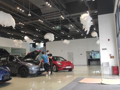 -TESLA 特斯拉(深圳观澜特斯拉直营钣喷中心)