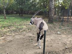 -大连森林动物园