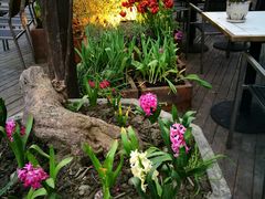 -听香·678茶铺(猛追湾店)