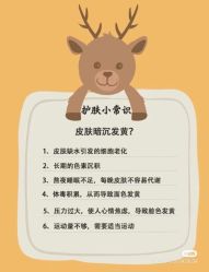 -海茱雅科技健康美容