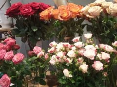 -BOBLOOM花店(宝龙旭辉广场店)