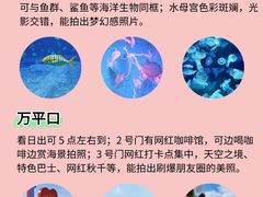 -日照灯塔风景区