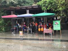 -金盆阿嬷香菇茶叶蛋(玄光店)