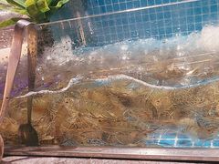 -曼格活海鲜·牛排自助(光明蓝鲸店)