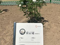 -太阳宫公园