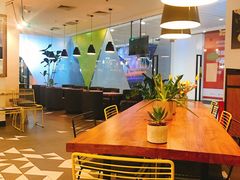 大堂-油梨树 AVOCADO TREE(亮马桥店)