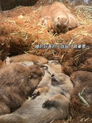 -Zoolung Zoolung动物主题公园(海信广场店)