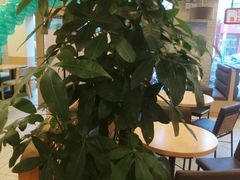 -德克士(宽甸店)