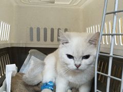 -美联众合动物医院·24h转诊中心