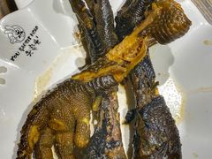 -老号尤兔头(幸福店)