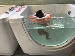 -亲亲袋鼠托育早教·思维专注力·棕熊英语(鼓楼恒力城店)