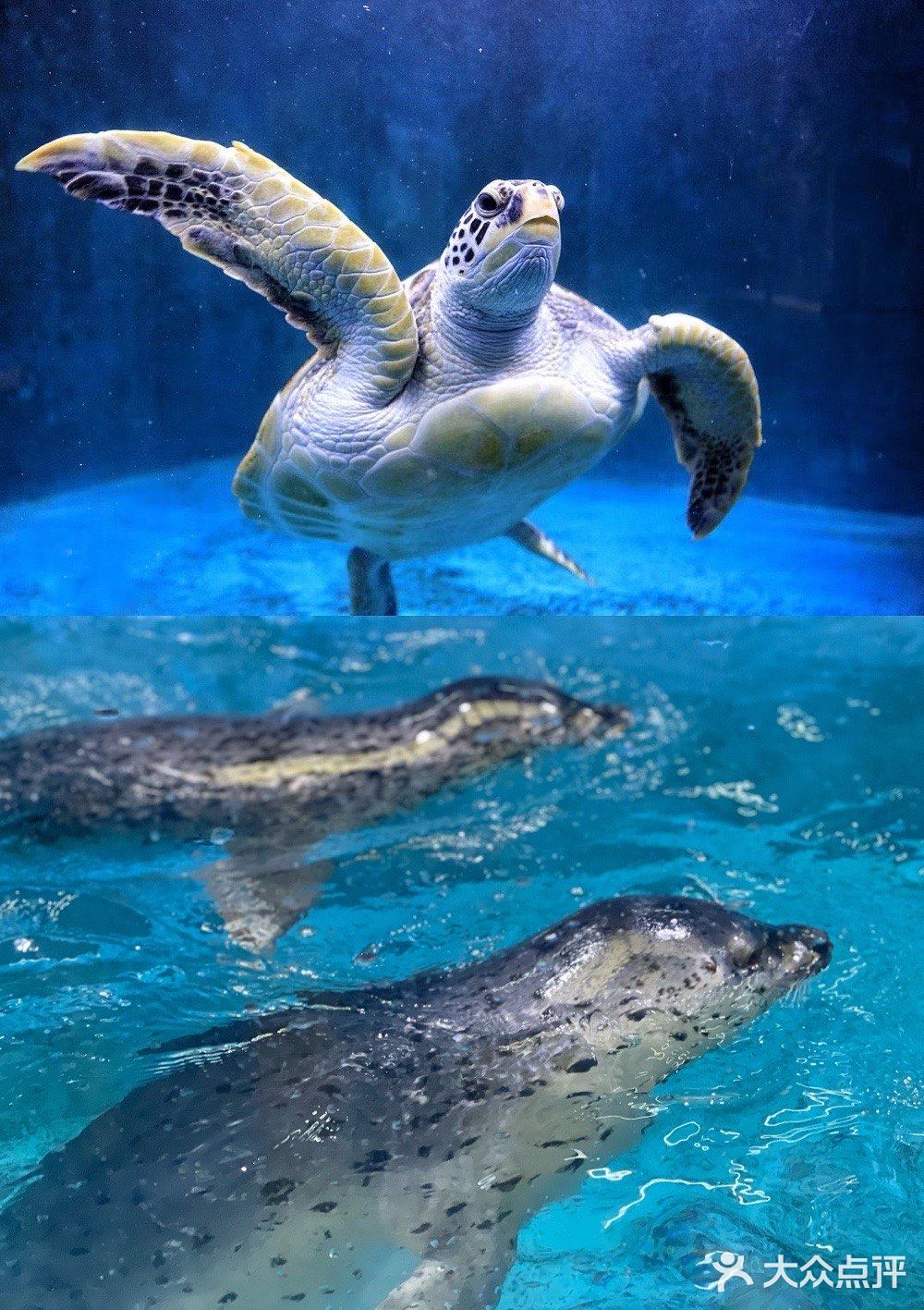 超出片｜青岛海底世界🐠小长假约起来