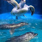 超出片｜青岛海底世界🐠小长假约起来