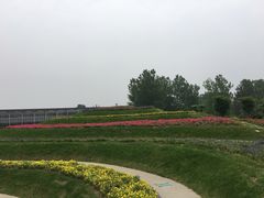 -南通洲际绿博园