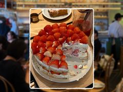 -O'eat Blossom&Pelican(深圳首店)