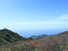 -大围山国家森林公园