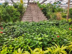 -南宫五洲植物乐园