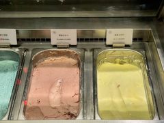 -郑州美盛喜来登大酒店