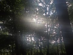 -长白岛森林公园